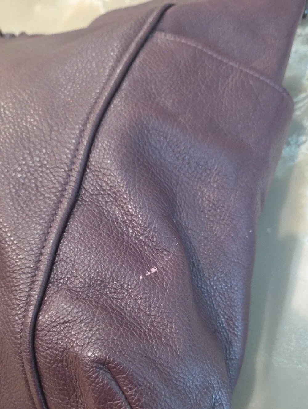 Coach Plum Leather Hobo Bag with Matching Wallet